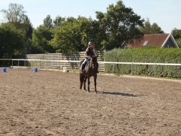 img_7216_web